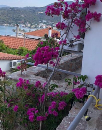 Veranda Blue - Poros Poros Town Buitenkant foto